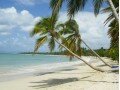 Détails : voyage martinique