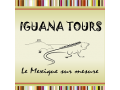 Détails : Iguana Tours, le spécialiste du Mexique sur mesure