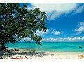 Détails : voyage guadeloupe