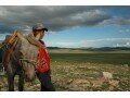 Détails : Voyage en Mongolie